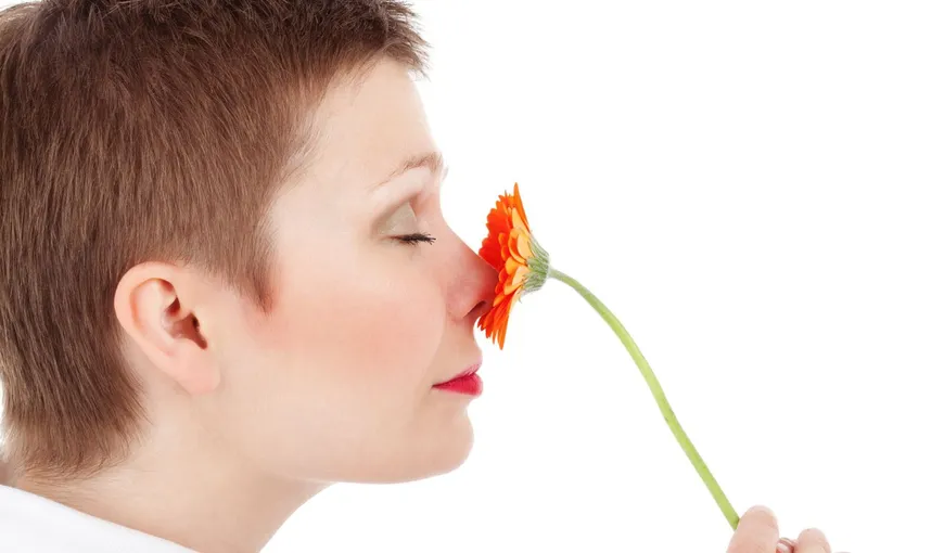 Ce spune forma nasului despre tine