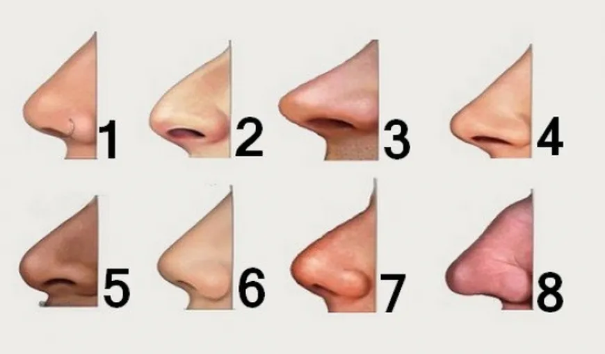 Tot ce trebuie să ştii despre o persoană, în funcţie de forma nasului