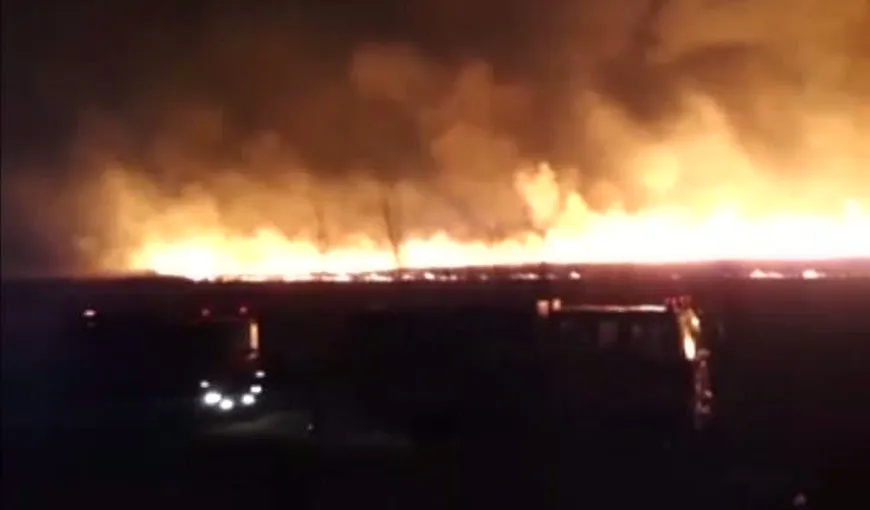 Incendiu de amploare în Botoşani. 35 de hectare de teren au fost făcute scrum VIDEO