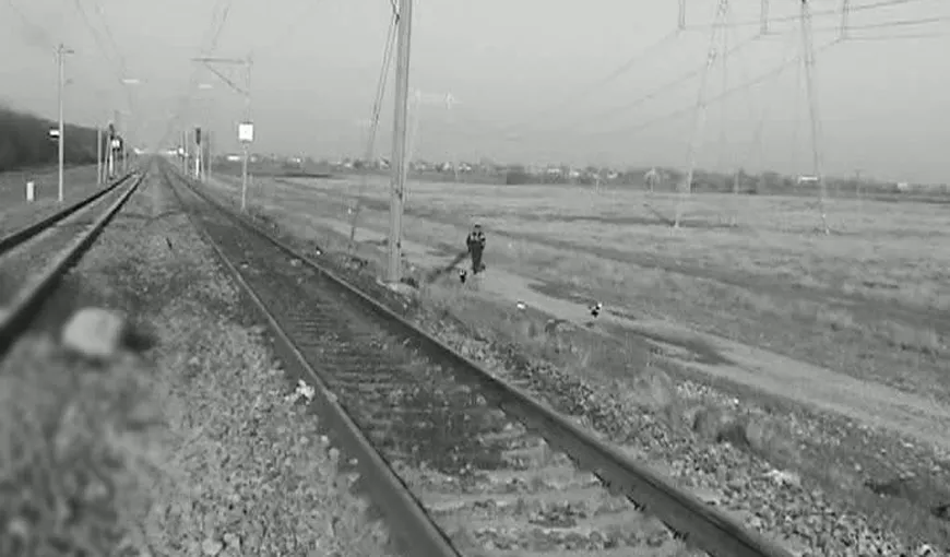 SCENE de GROAZĂ în Ialomiţa. Zeci de oi au fost omorâte de tren VIDEO