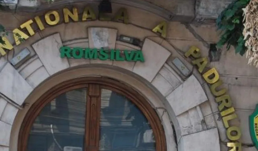 Romsilva reclamă ameninţări primite din partea organizaţiei Agent Green