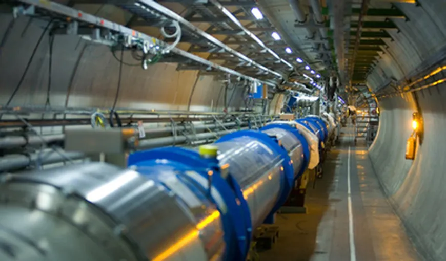 O nevăstuică a „sabotat” cel mai puternic accelerator de particule din lume