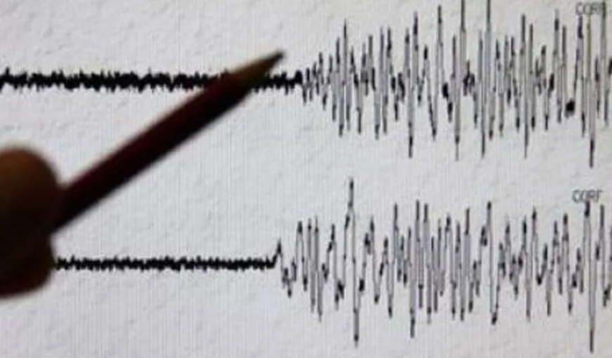 Cutremur de 3,2 grade în judeţul Buzău, vineri dimineaţă