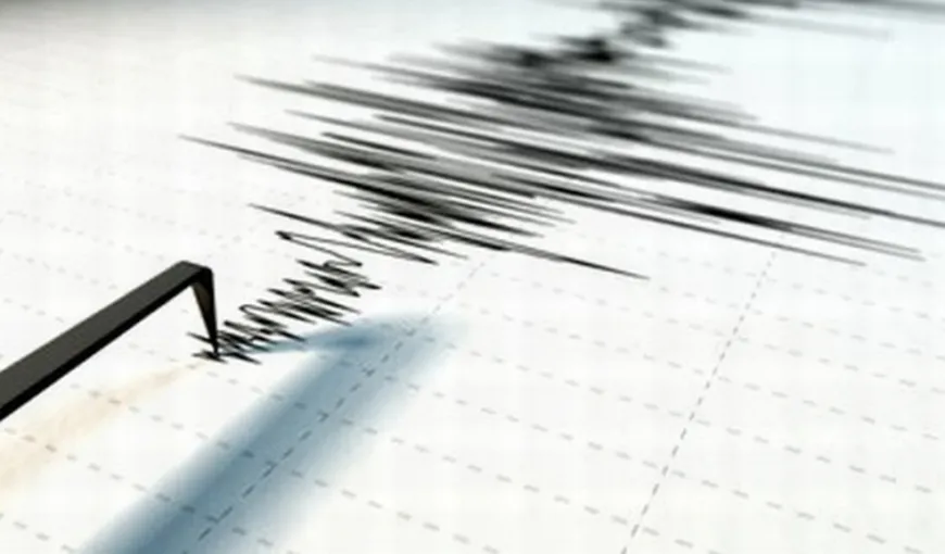 Cutremur de 5,8 grade în sudul Japoniei