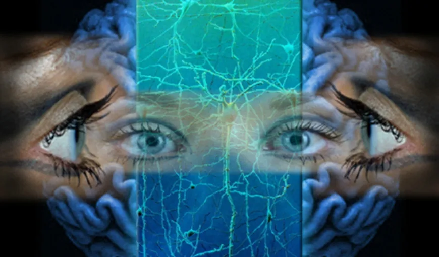 Cum se explică fenomenul de Deja Vu: ce se întâmplă în creier când ai această senzaţie stranie