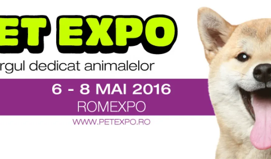 Cel mai important concurs de acvaristică din România începe la Pet Expo