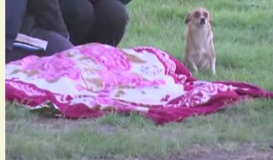 Un copil de 9 ani a murit înecat la Vaslui. Imagini EMOŢIONANTE cu câinele băieţelului VIDEO