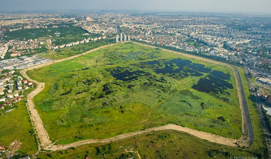 Delta Văcăreşti din Capitală a fost transformată în parc natural şi arie protejată
