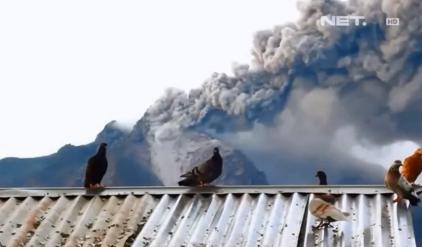 Sate ÎNGROPATE în cenuşă fierbinte în urma unei erupţii vulcanice ce a avut loc în Indonezia VIDEO