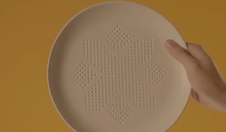 A fost inventată farfuria care absoarbe grăsimile din mâncare VIDEO