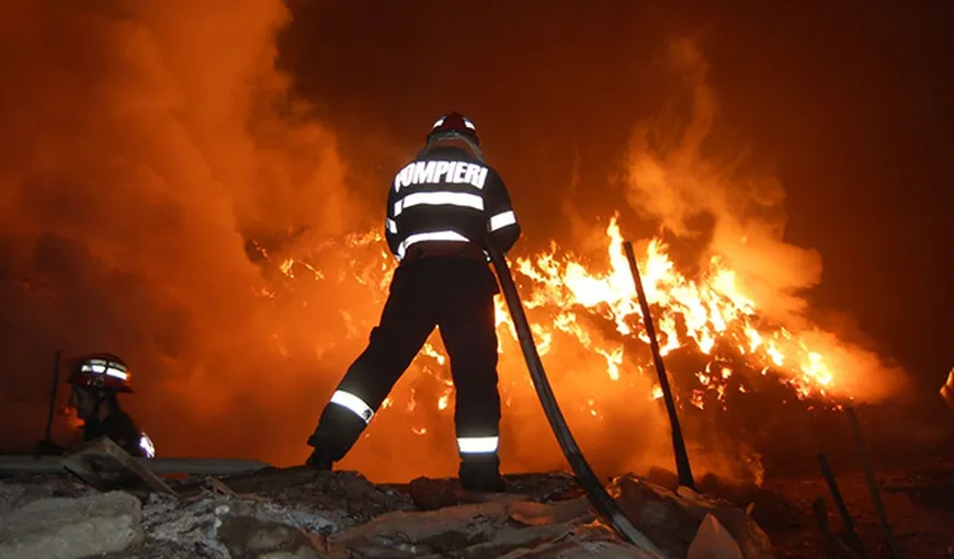 Incendiu de proporţii la o fermă din Giurgiu. 90.000 de păsări au ars de vii