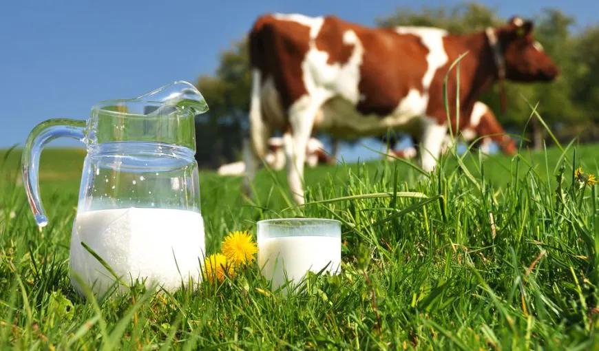 În perioada 30 mai-6 iunie, producătorii de lapte pot depune cereri pentru obţinerea ajutorului financiar european