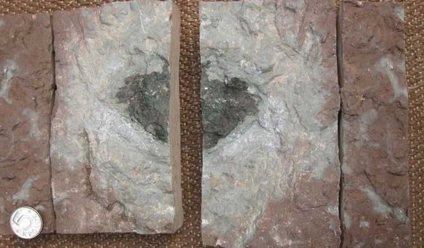 O rocă extraterestră MISTERIOASĂ a fost găsită în Suedia