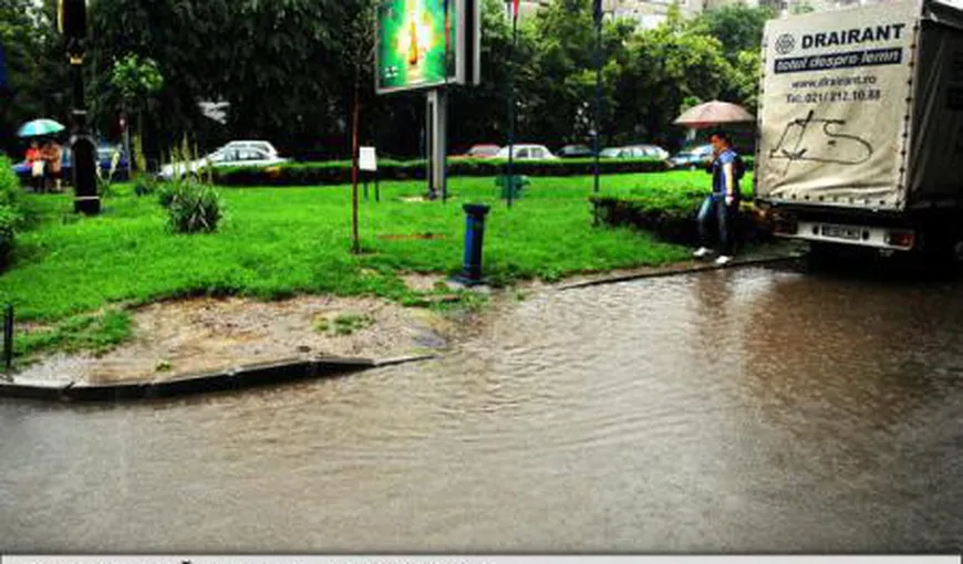 ISU: Un copac căzut şi acumulări de apă în urma Codului Portocaliu din Capitală