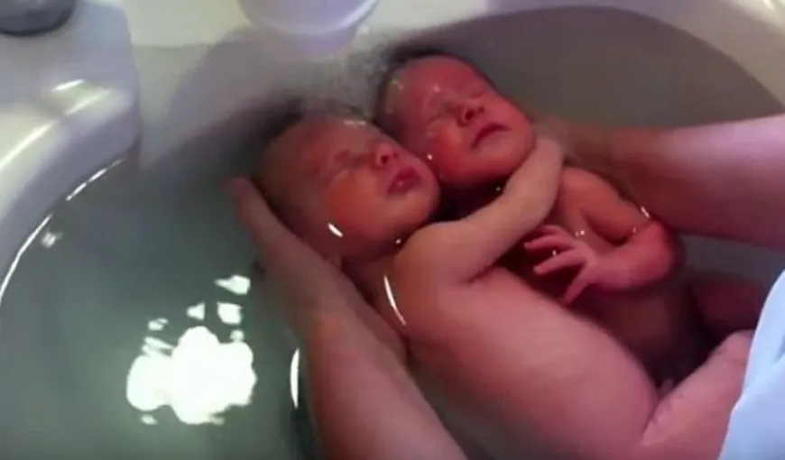 Bebeluşii aştia nu ştiu că s-au născut, că nu mai sunt în pântecele mamei. Ce fac când sunt băgaţi în apă VIDEO VIRAL