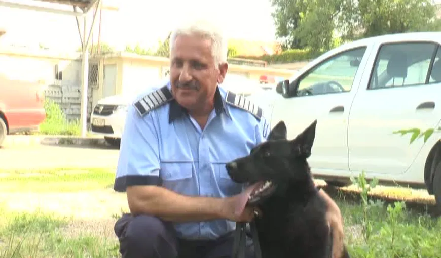 Primul câine-poliţist pentru detectarea ţigărilor de contrabanda a fost adus la IPJ Prahova VIDEO