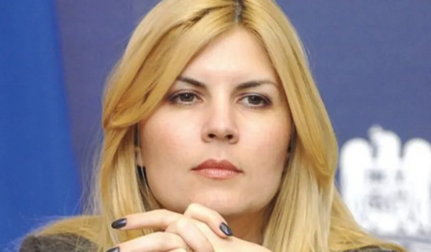 Elena Udrea, critică PNL: „Halal reformă a clasei politice! Aţi făcut praf România!”