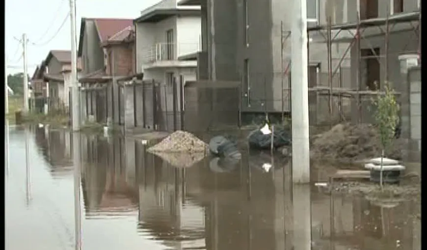 Gospodării inundate în Timiş. Autorităţile sunt depăşite de situaţie VIDEO