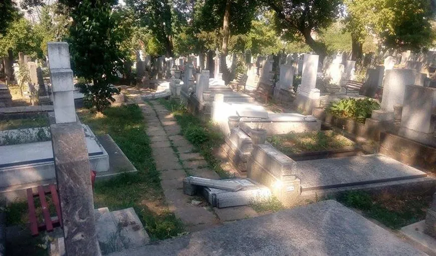 Un tânăr de 18 ani din Dej, acuzat că a profanat zeci de morminte într-o singură zi