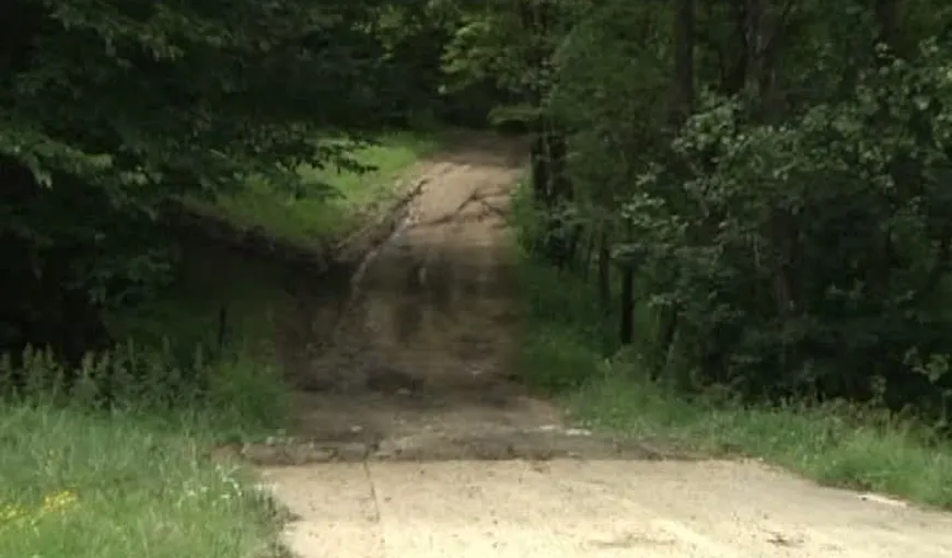 Scandalos: Un primar din Prahova a cheltuit milioane de euro pe o şosea care se opreşte într-o pădure