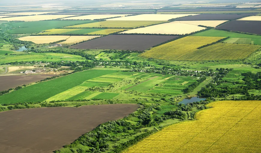 70% din suprafaţa arabilă a României ar putea ajunge pe mâinile străinilor