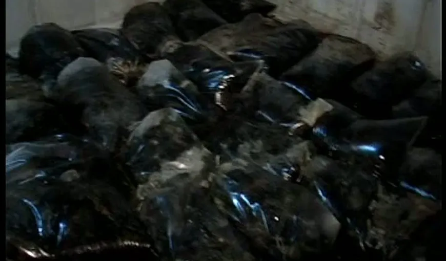 Tone de CARNE STRICATĂ, găsite într-un abator din Braşov. Locuitorii au sesizat autorităţile din cauza mirosului pestilenţial