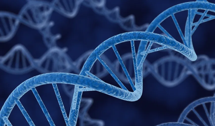PREMIERĂ. Oamenii de ştiinţă vor secvenţia ADN-ul în spaţiu