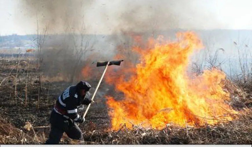 Buzău. Peste 125 de hectare de vegetaţie uscată incendiate în ultimele 24 de ore