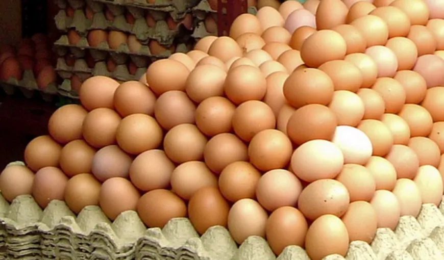 ANSVSA: Din spaţiul UE vin transporturi de ouă a căror origine este necunoscută