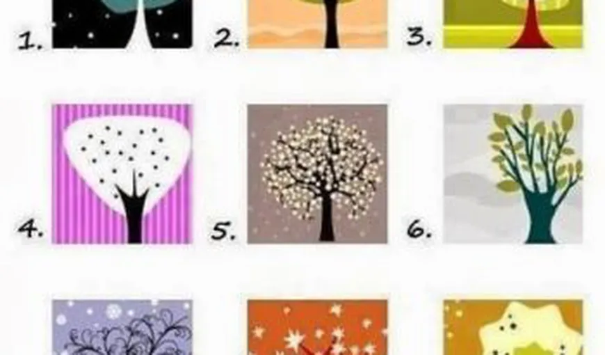 Test de personalitate: Alege un copac din imagine şi află ce spune asta despre tine