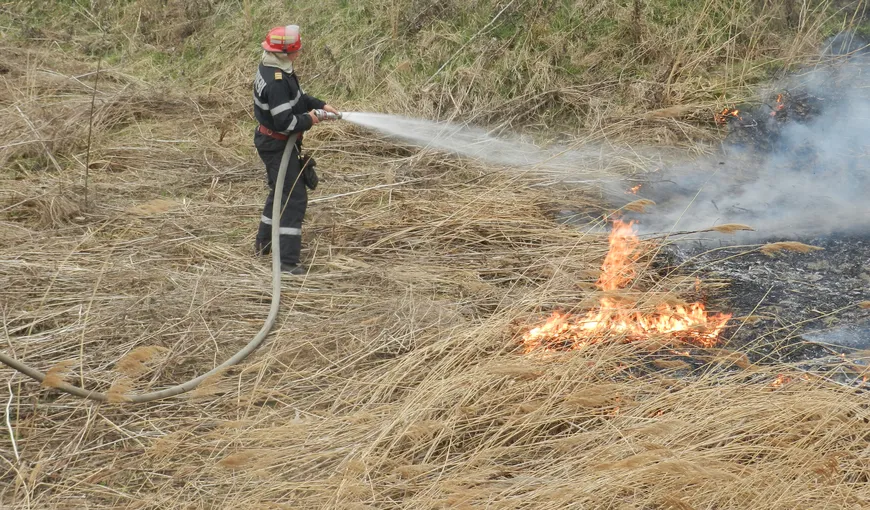 Incendiu extins pe 50 de hectare de teren agricol din Giurgiu, după ce un autotren încărcat cu grâu a luat foc