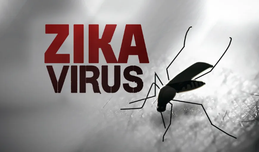 STUDIU: Epidemia de Zika s-ar putea întinde pe o perioadă de trei ani