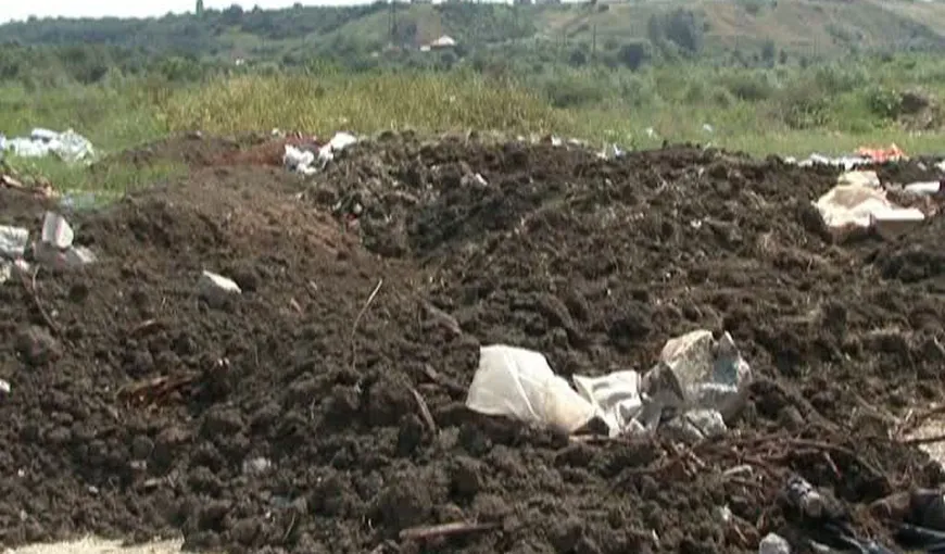 Descoperire macabră la marginea oraşului Drobeta Turnu Severin. Au fost găsite mai multe oseminte umane