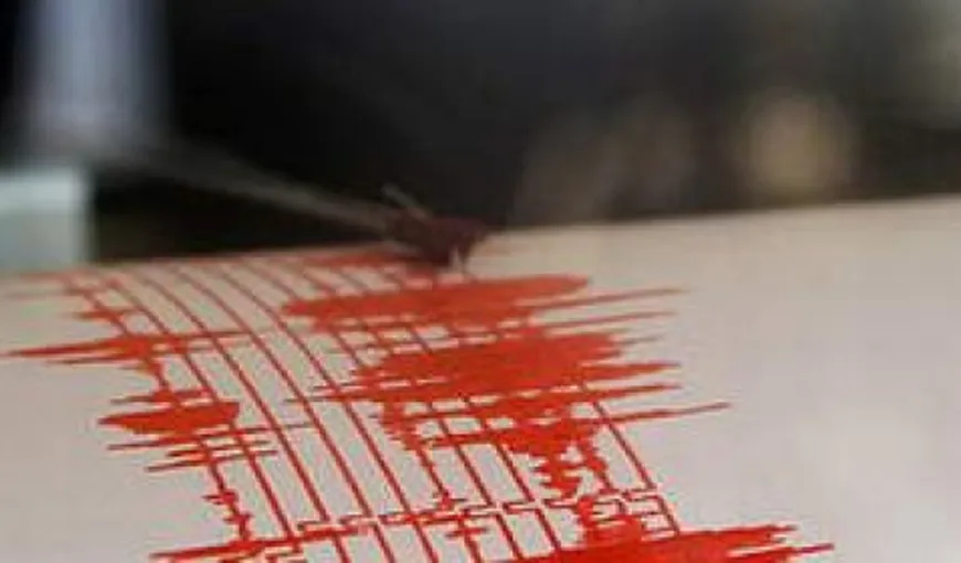 Cutremur de aproape 4 grade în Vrancea