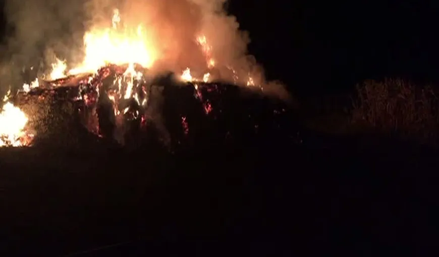 Incendiu puternic în Botoşani. Flăcările au cuprins un adăpost de animale VIDEO