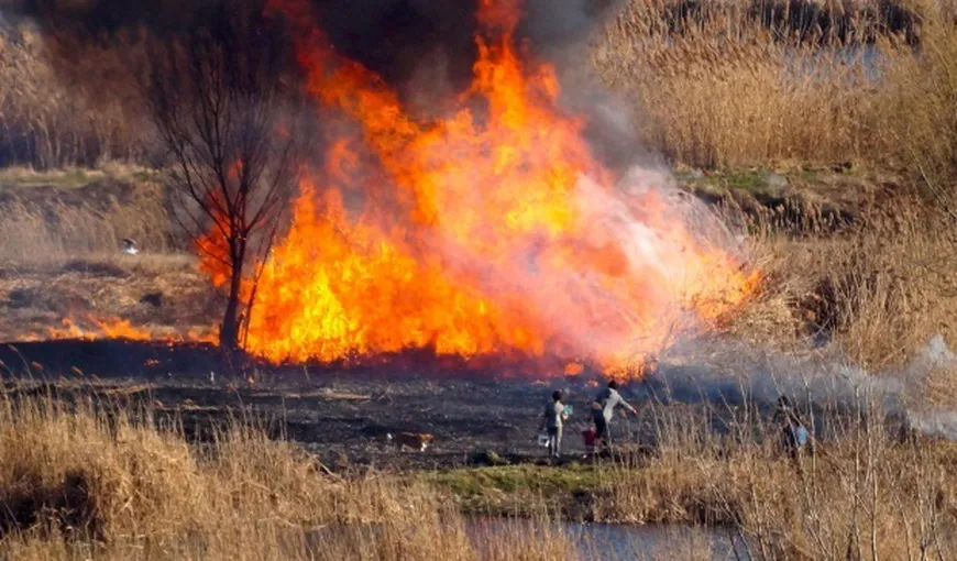 Stare de urgenţă în sud-estul Bulgariei din cauza unui incendiu de vegetaţie