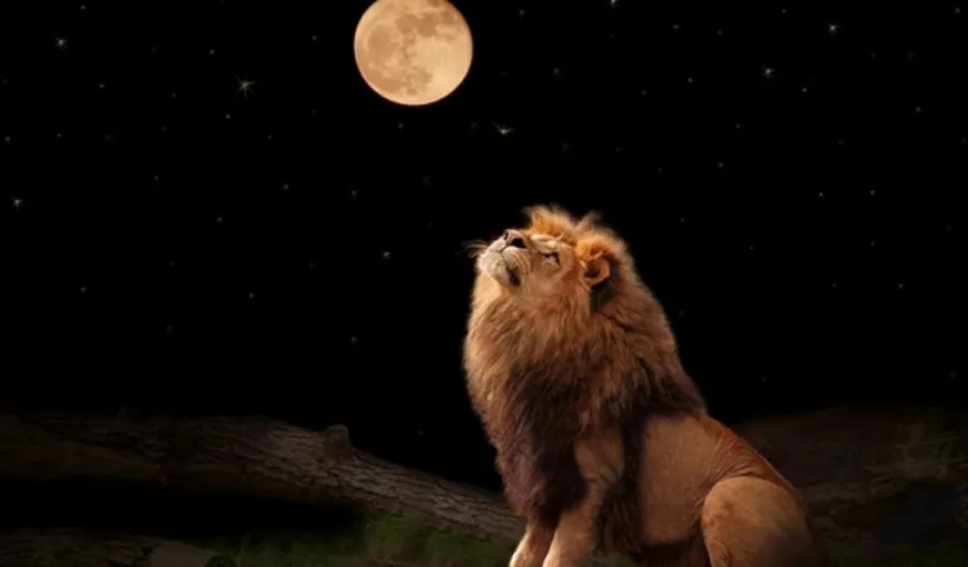 Lună plină în leu. Cum ne poate ajuta şi de ce trebuie să ne ferim. Taurii pot schimba casa