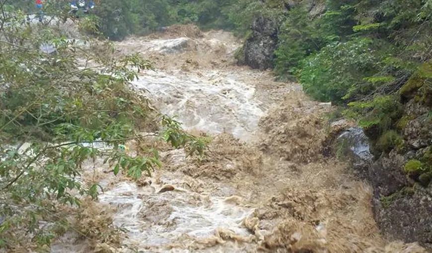 Zona de campare de la Cabana Padina, complet inundată după o ploaie torenţială VIDEO