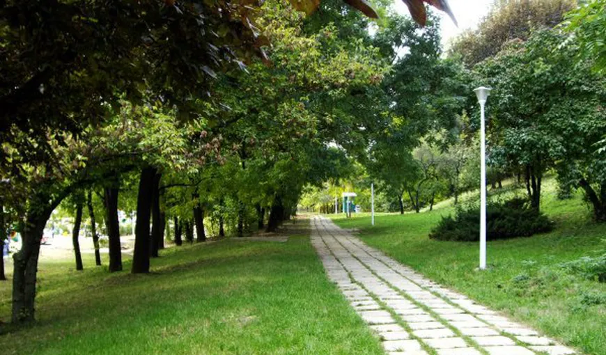 O porţiune din Parcul Verdi din Bucureşti, de vânzare pe OLX