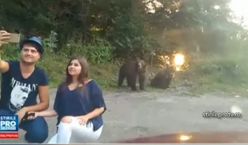 Inconştienţă dusă la extrem: Turiştii de pe Transfăgărăşan şi-au făcut selfie cu urşii