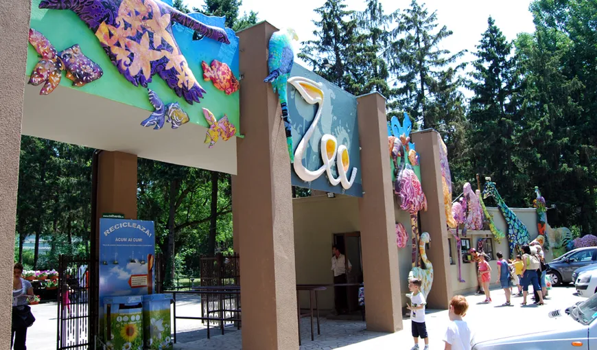 Cum poţi să intri GRATUIT la Grădina Zoologică din Băneasa