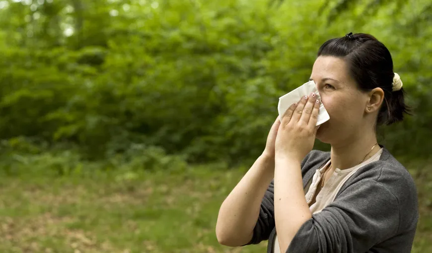 Alergiile de toamnă: polenul de ambrozie