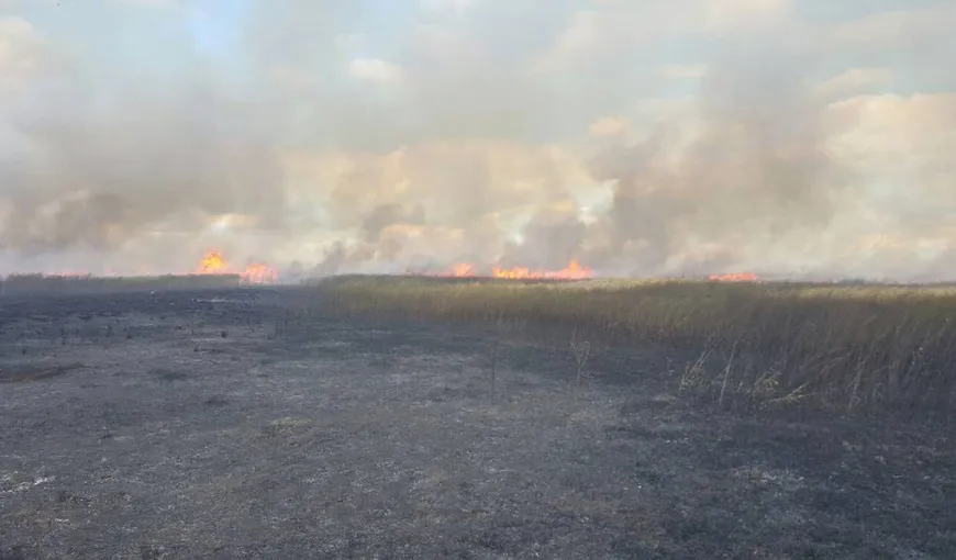 Incendiu de proporţii în Rezervaţia Delta Dunării. Peste 70 de hectare de vegetaţie s-au făcut scrum