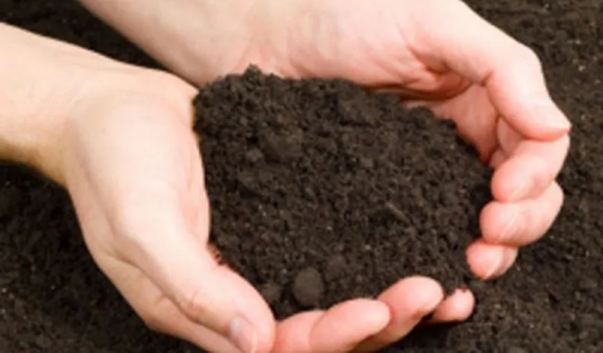 Secretele grădinaritului: 5 metode naturale eficiente de îmbunătăţire a solului