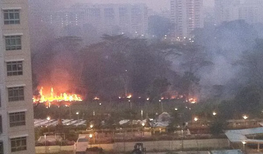Asia: Incendiile de vegetaţie au provocat peste 100.000 de MORŢI PREMATURE