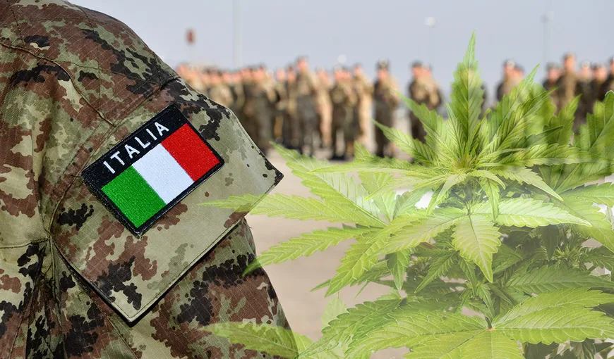 Poliţia italiană a capturat 700 de kilograme de marijuana