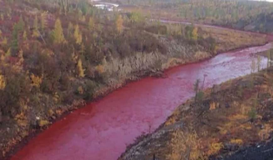 Alertă în Rusia! Apa unui râu a căpătat culoarea sângelui peste noapte
