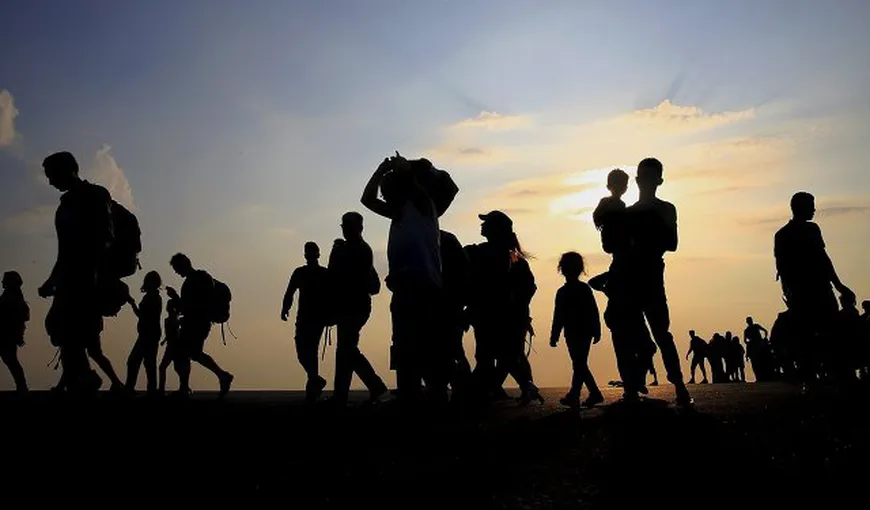 Poveste de film în Dolj. Un agent de pază a salvat opt migranti sirieni