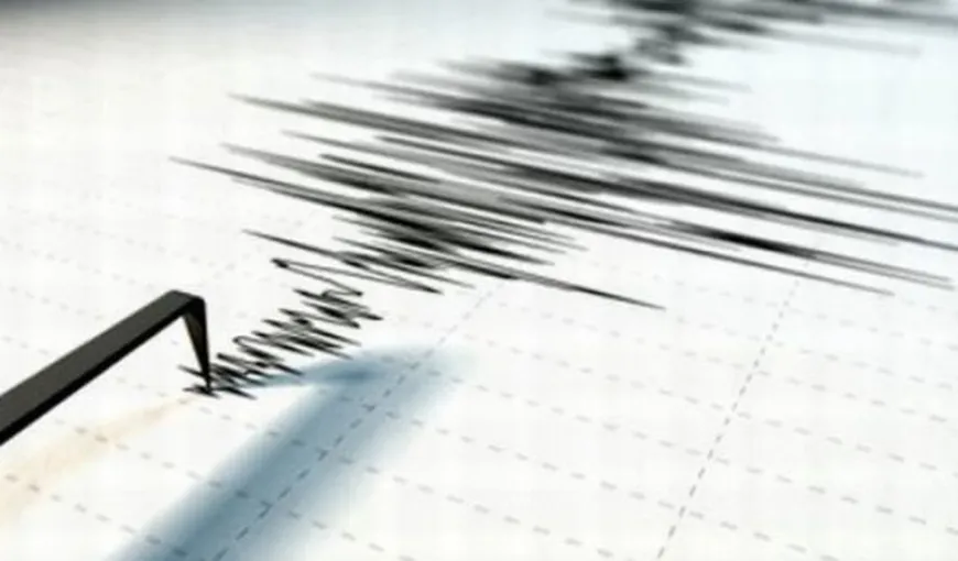 Cutremur cu magnitudine 7,1 în Noua Zeelandă. Pe coastă a ajuns un tsunami de 30 de centimetri