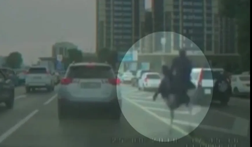 Scene incredibile în trafic! Un bărbat călare pe un struţ goneşte nestingherit printre maşini VIDEO